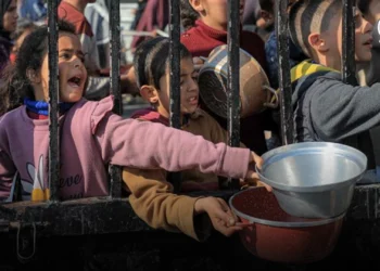 Algo de ayuda [8 Ago] – Cristianos en Gaza