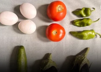 Falta de todo [21 Ago] – Cristianos en Gaza