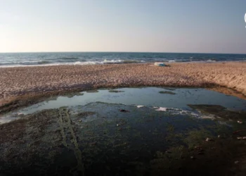 Volverse loco [11 Sep] – Cristianos en Gaza