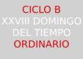 13 de octubre – XXVIII Domingo del Tiempo Ordinario – CICLO B