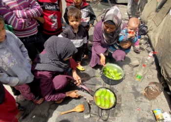 Misericordia en Gaza [14 Nov] – Cristianos en Gaza