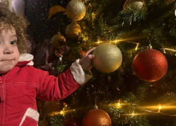 Nuestros pesebre y árbol [15 Dic] – Cristianos en Gaza