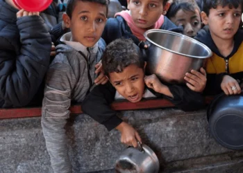 ¿Cómo seguir ayudando? [28 Ene] – Cristianos en Gaza