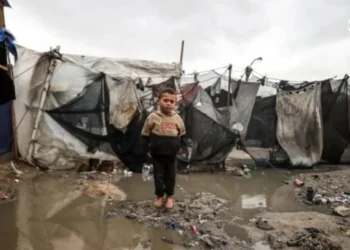 Invivible [3 Ene] – Cristianos en Gaza