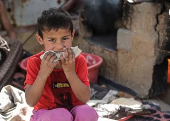 Comida en tiempos de guerra [1 Feb] – Cristianos en Gaza