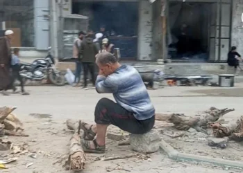 Así está Gaza… [3 Feb] – Cristianos en Gaza