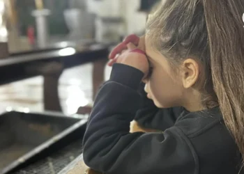 ¡Viva la Providencia! [4 Feb] – Cristianos en Gaza