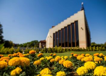 El ecologismo reclama a los difuntos «¿Los seres queridos fallecidos? ¡Excelente fertilizantes!»