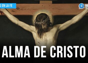 Alma de Cristo – Firmes en la fe