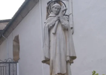 Lo que sabían las ranas de Beas