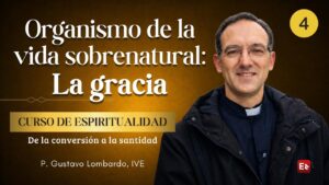 4. Organismo de la vida sobrenatural: La gracia - Curso de la Conversión a la Santidad