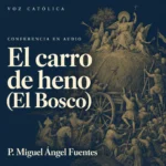 Conferencias en audio