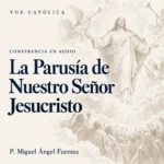 Conferencias en audio