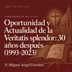 Conferencias en audio