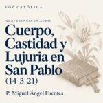 Conferencias en audio