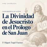 Conferencias en audio