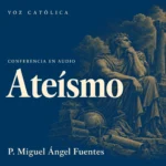Conferencias en audio