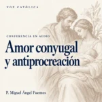 Conferencias en audio