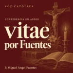 Conferencias en audio