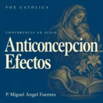 Conferencias en audio