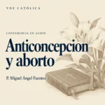 Conferencias en audio