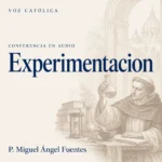 Conferencias en audio