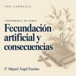 Conferencias en audio