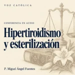 Conferencias en audio
