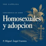 Conferencias en audio