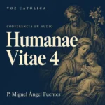 Conferencias en audio
