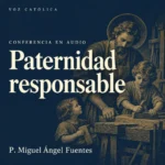 Conferencias en audio