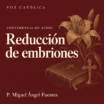 Conferencias en audio
