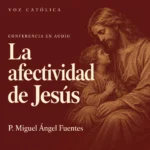 Conferencias en audio