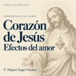 Conferencias en audio