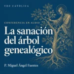 Conferencias en audio