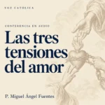 Conferencias en audio