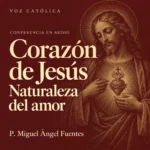 Conferencias en audio