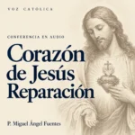 Conferencias en audio