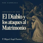 Conferencias en audio