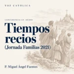 Conferencias en audio