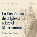 Conferencias en audio