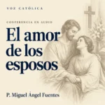 Conferencias en audio