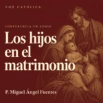 Conferencias en audio