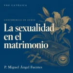 Conferencias en audio