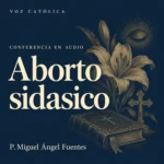 Conferencias en audio
