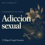 Conferencias en audio