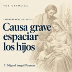 Conferencias en audio