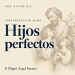 Conferencias en audio