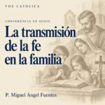 Conferencias en audio