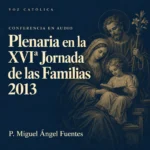 Conferencias en audio